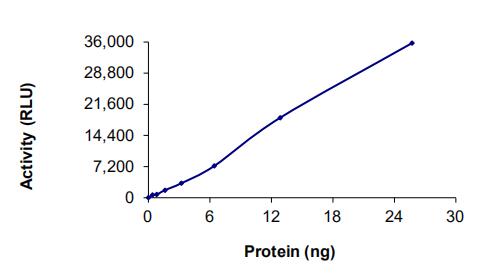 The specific activity of EGFR (L718Q C797S L858R) was determined to be 4.2 nmol/min/mg as per activity assay protocol.
